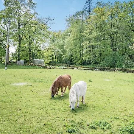 Christine's Stable 펜션 Crosby Ravensworth