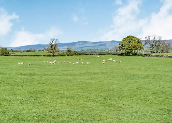 Christine's Stable Holiday home