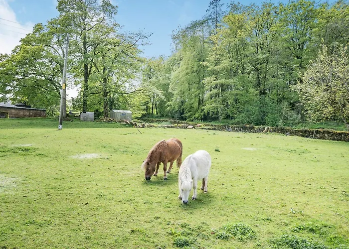 Christine's Stable Holiday home Crosby Ravensworth